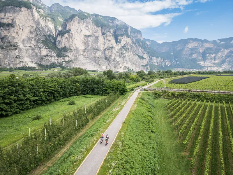 Una lunga fila di rider sulla ciclabile lungo l'Adige, tra frutteti e montagne