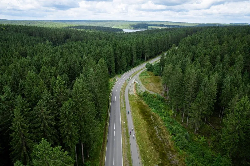 A quiet road running straight through a dark pine forest, seen from above